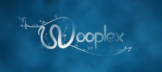 Wooplex – гра львівських студентів, яка підкорила США