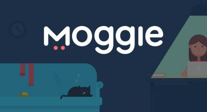 Український стартап Moggie залучив $ 70K на ошийник для котів