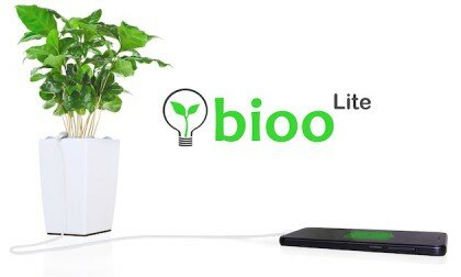 Bioо Lite: вазон, який заряджає ваш телефон